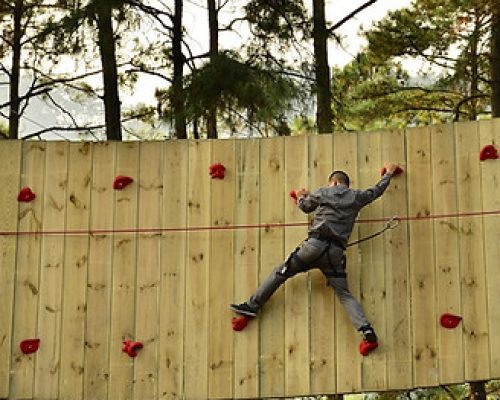 HARNESS ADVENTURES COURSES (17 )