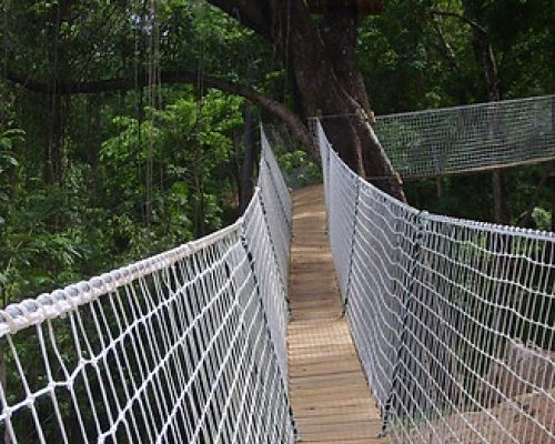 HIGHT BRIDGE COURSES (15)_JPG